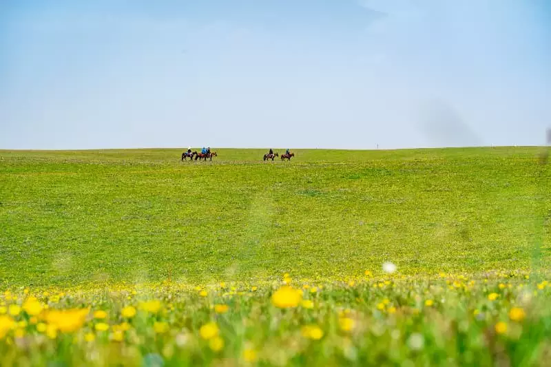Produtividades das pastagens