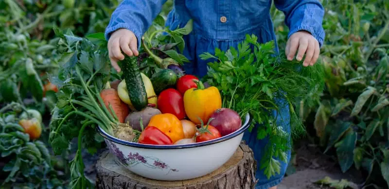 Veja quais são os cuidados legais para exposição de produtos orgânicos no varejo 2 Produtos orgânicos