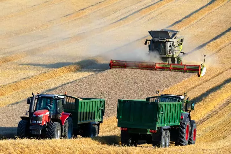 Estimativa de produção de grãos para a safra 2024/25 é de 328,3 milhões de toneladas 3 Safra de grãos