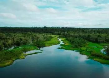 APA Jará terá trilha ecológica e projeto de turismo sustentável