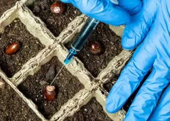 Aberta consulta pública para revisão das leis de bioinsumos e agrotóxicos em Goiás