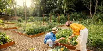 Agricultores familiares já podem conferir os produtos com bônus do PGPAF em abril
