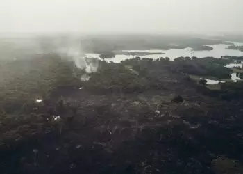 Área devastada por queimadas cai 70% no 1º trimestre, aponta MapBiomas