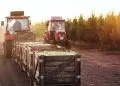 Brasil realiza missão técnica no Marrocos e Egito para tratar de comércio agrícola