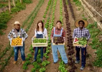 FCO Rural aprova R$ 104,7 milhões para projetos em 25 municípios goianos