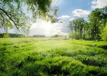 Ferramenta deve identificar áreas prioritárias para recuperação ambiental 9 Ferramenta deve identificar áreas prioritárias para recuperação ambiental