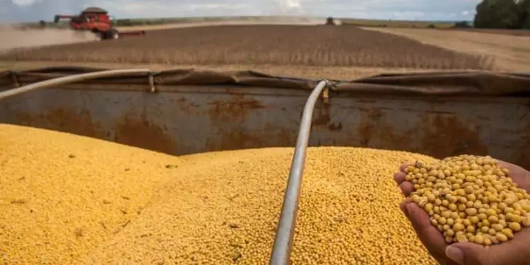 Goiás registra superávit de US$ 848 milhões na balança comercial em março 1 Goiás registra superávit de US$ 848 milhões na balança comercial em março