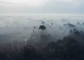 Iniciada nova campanha de prevenção e combate aos incêndios criminosos na Amazônia
