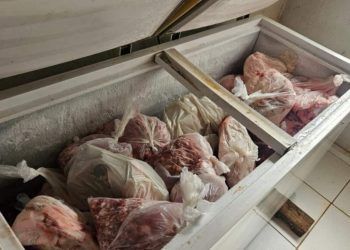 Operação apreende carne suína imprópria e interdita abatedouro ilegal em Goiás