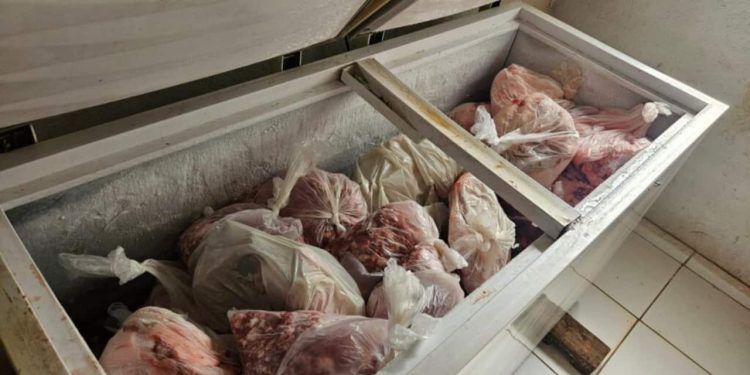 Operação apreende carne suína imprópria e interdita abatedouro ilegal em Goiás