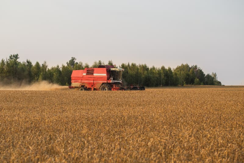 Setor agropecuário impulsiona crescimento do PIB do agronegócio em 2024 2 PIB do agronegócio