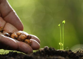 Planta piloto da Aclara Resources marca início de projeto de terras raras em Goiás