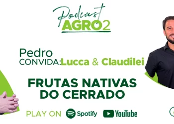 Podcast com Lucca Koch e Claudilei Koch