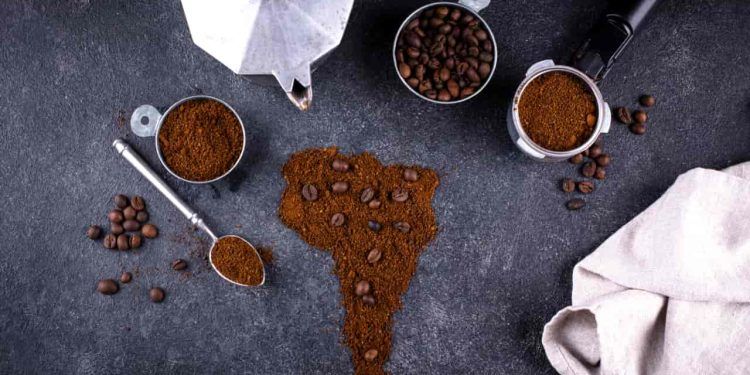 Produção da espécie de Coffea arabica ocupa área de 1,48 milhões de hectares no Brasil