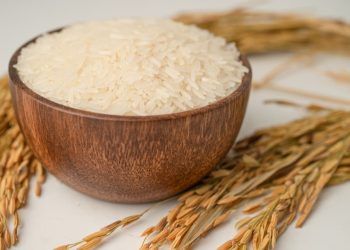 Produtores de arroz têm até sexta para antecipar venda à Conab com preço garantido