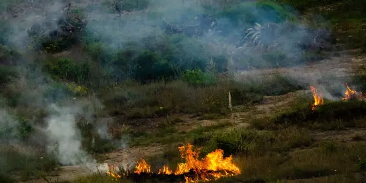 STF determina desapropriação de propriedades devastadas por desmatamento ilegal 1 STF determina desapropriação de propriedades devastadas por desmatamento ilegal