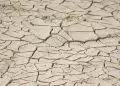Seca diminui no Norte e Centro-Oeste e se intensifica no Nordeste, Sudeste e Sul