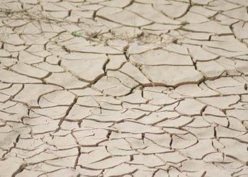 Seca diminui no Norte e Centro-Oeste e se intensifica no Nordeste, Sudeste e Sul