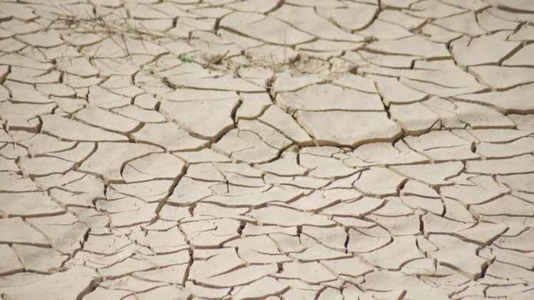 Seca diminui no Norte e Centro Oeste e se intensifica no Nordeste Sudeste e Sul