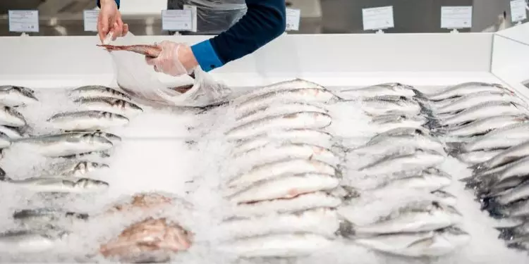 Semana Santa orientações importantes para a compra de pescado e garantia de qualidade
