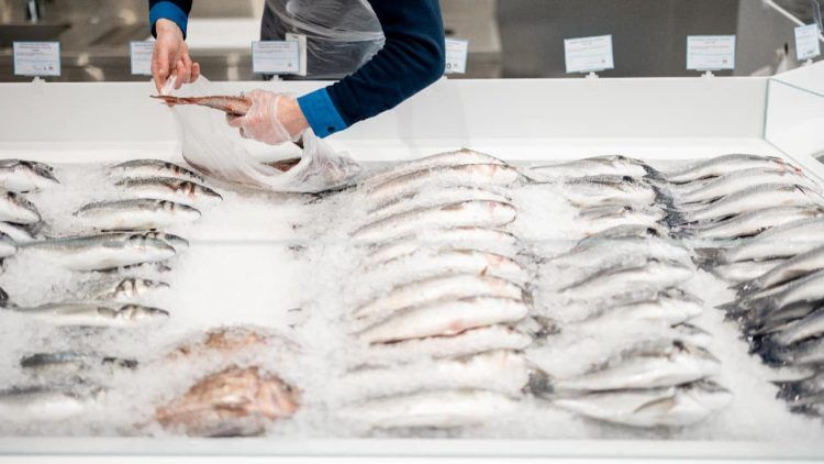 Semana Santa orientacoes importantes para a compra de pescado e garantia de qualidade