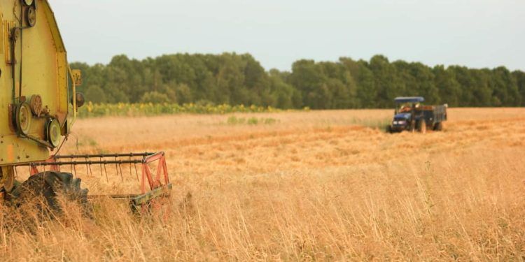 Setor agropecuário impulsiona crescimento do PIB do agronegócio em 2024