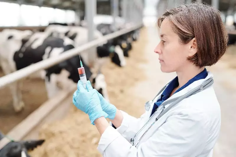 Vacinação animal em Goiás: novas regras para raiva, brucelose e influenza 3 Vacinação