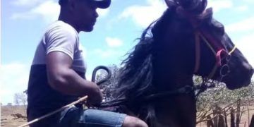Vaqueiro morre asfixiado após laçar gado em fazenda de Goiás