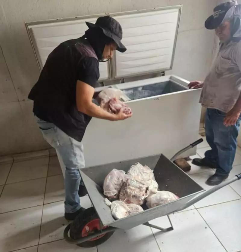 Abatedouro ilegal