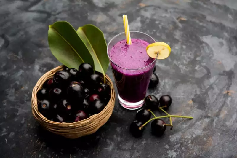 Novo protocolo fortalece a cadeia produtiva do açaí-solteiro na Amazônia 2 Açaí soteiro