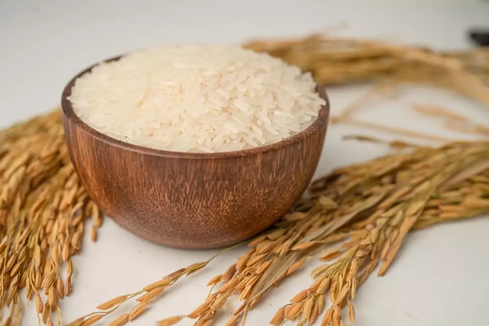 arroz apreendido