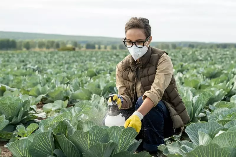 Bioinsumos e agrotóxicos