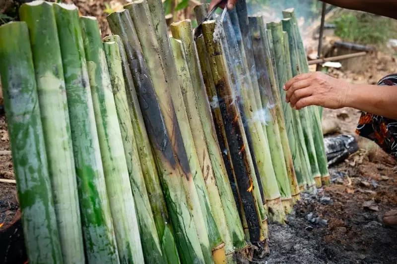 Bagaço de cana se destaca como fonte renovável estratégica para o Brasil, aponta estudo 3 Cana de açúcar