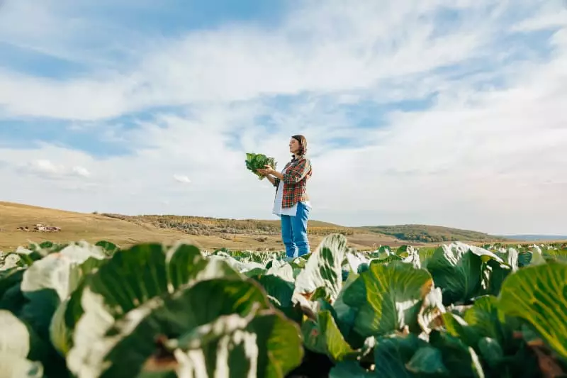 Comércio agrícola