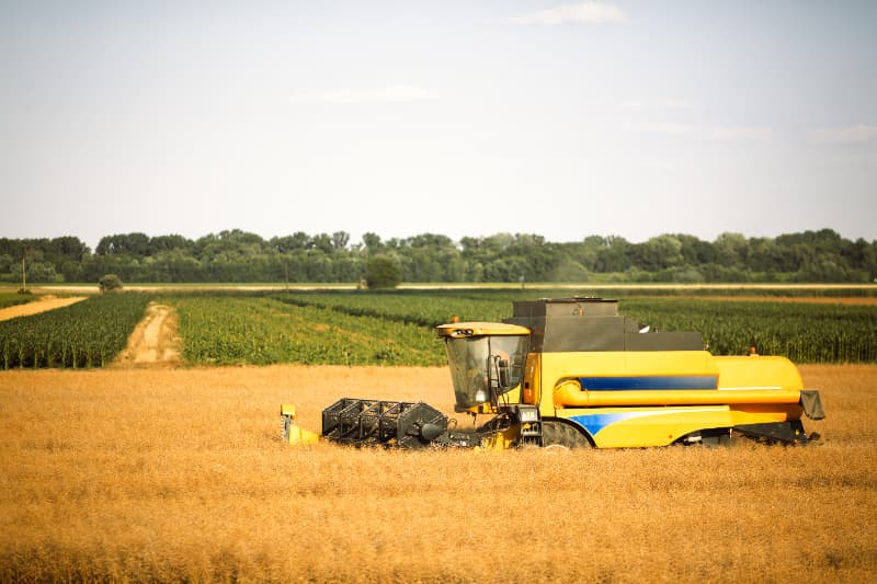 Setor agropecuário impulsiona crescimento do PIB do agronegócio em 2024 3 Crescimento do PIB