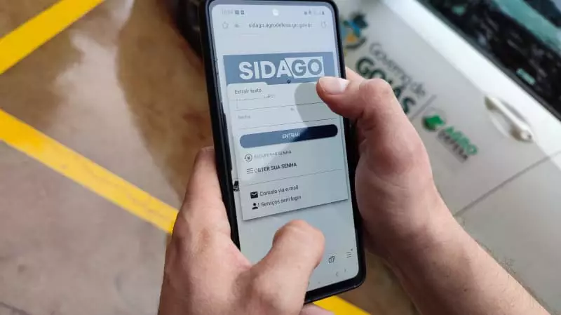 Declaração de rebanho