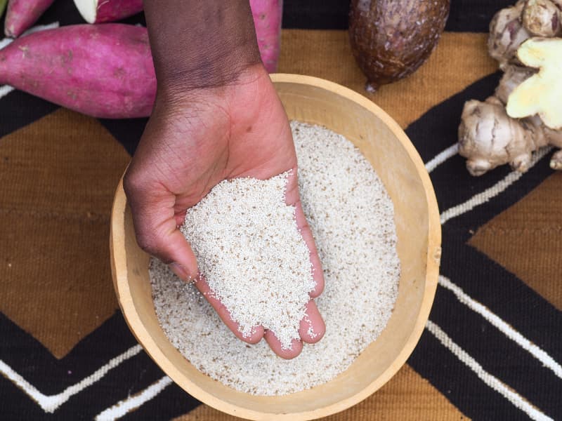 Variedades de arroz liberam níveis semelhantes de gás de efeito estufa, aponta estudo 3 Exportações de arroz