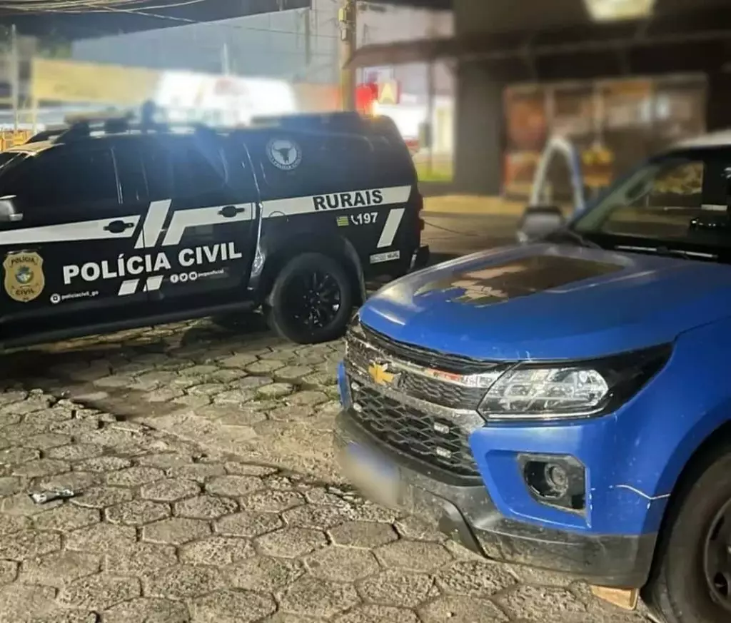 Furto de novilha