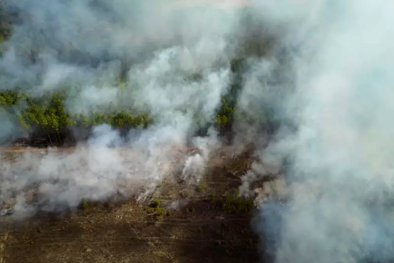 Incêndios