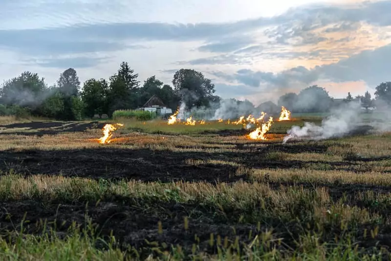 STF determina desapropriação de propriedades devastadas por desmatamento ilegal 2 Incêndios criminosos