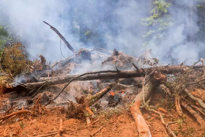 Incêndios criminosos