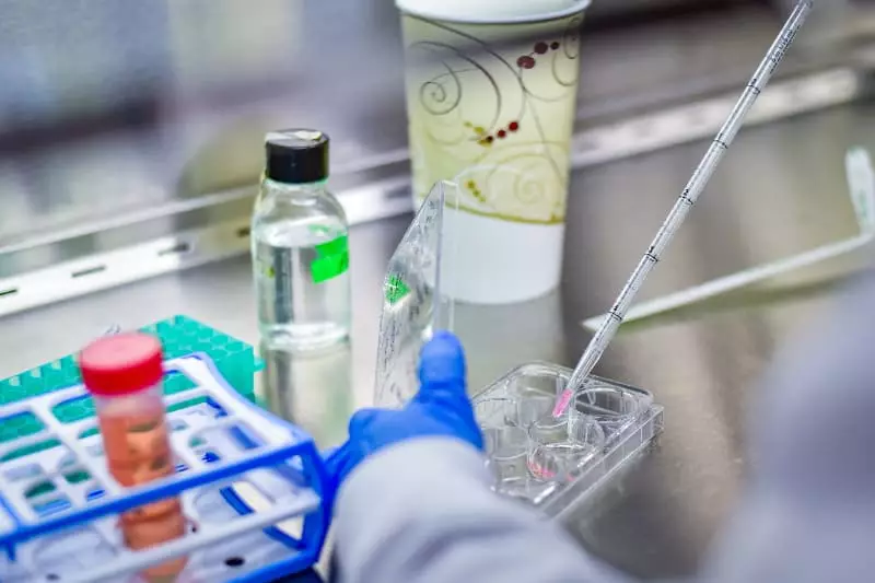Lei sobre bioinsumos