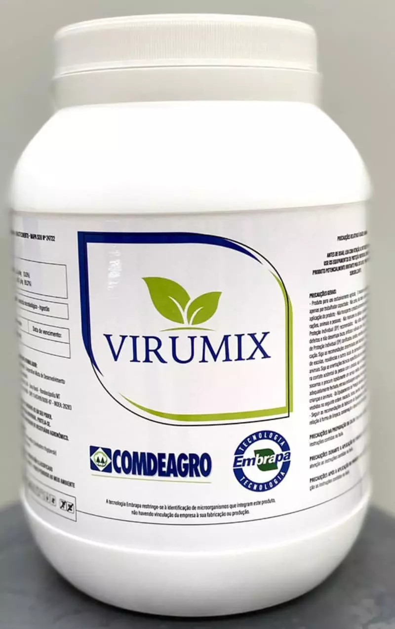 Novo bioinseticida apresenta alta eficiência no controle da lagarta-do-cartucho 2 Novo bioinseticida