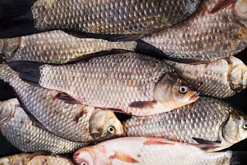 Peixe