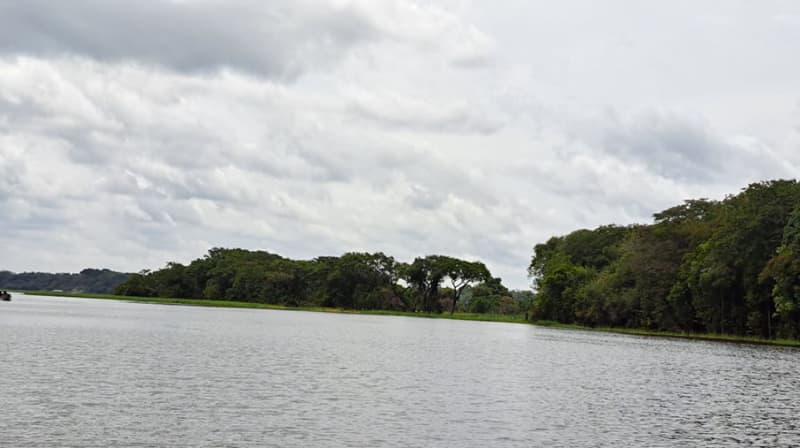 Rio Amazônico