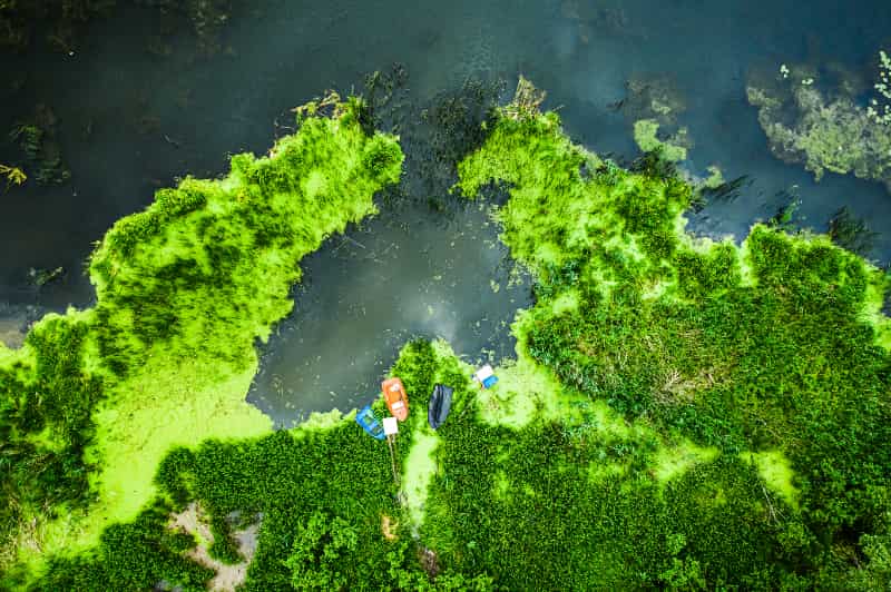 Turismo sustentável