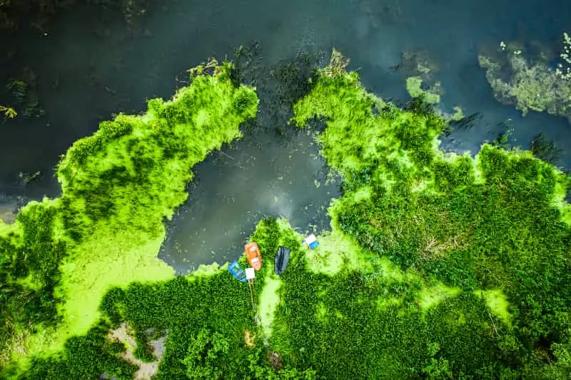 Turismo sustentável