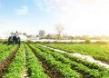 Agropecuária impulsiona alta de 1,4% no PIB do primeiro trimestre de 2025
