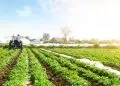 Agropecuária impulsiona alta de 1,4% no PIB do primeiro trimestre de 2025