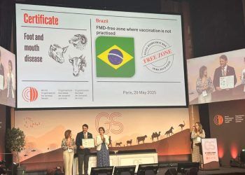 Brasil é reconhecido internacionalmente como livre de febre aftosa sem vacinação